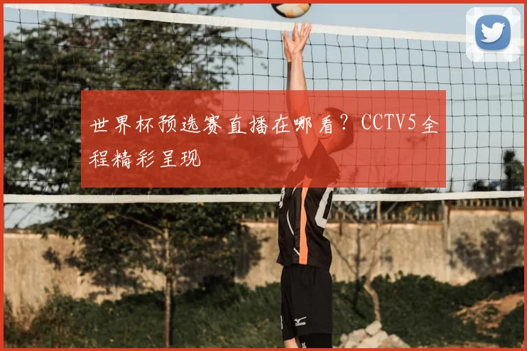 世界杯预选赛直播在哪看？CCTV5全程精彩呈现