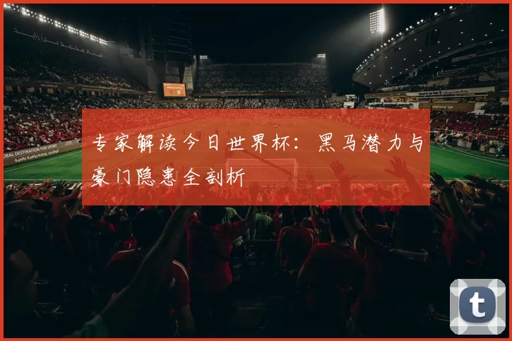 专家解读今日世界杯：黑马潜力与豪门隐患全剖析