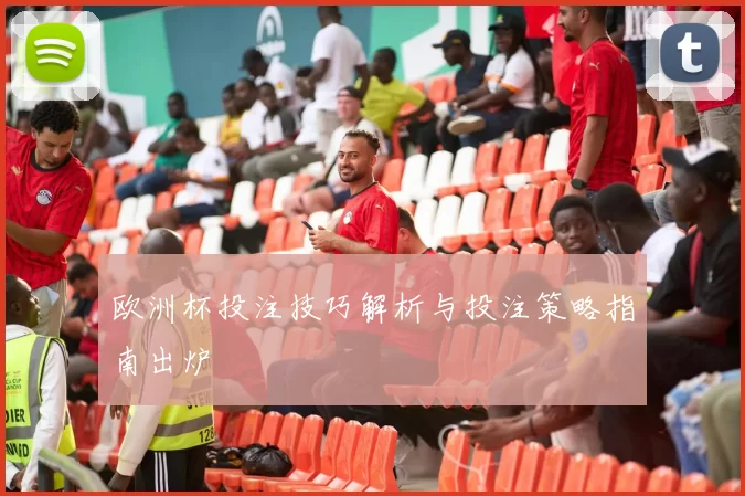 欧洲杯投注技巧解析与投注策略指南出炉