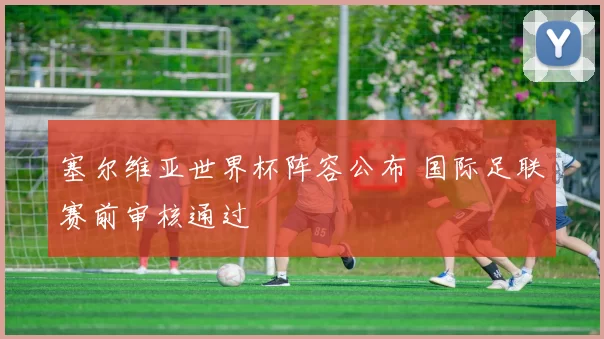 塞尔维亚世界杯阵容公布 国际足联赛前审核通过