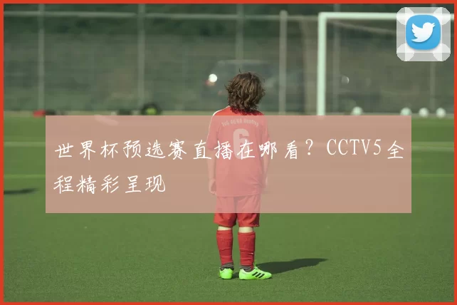 世界杯预选赛直播在哪看？CCTV5全程精彩呈现
