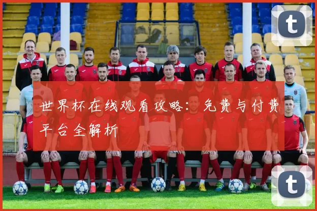 世界杯在线观看攻略：免费与付费平台全解析