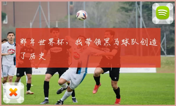 那年世界杯,我带领黑马球队创造了历史
