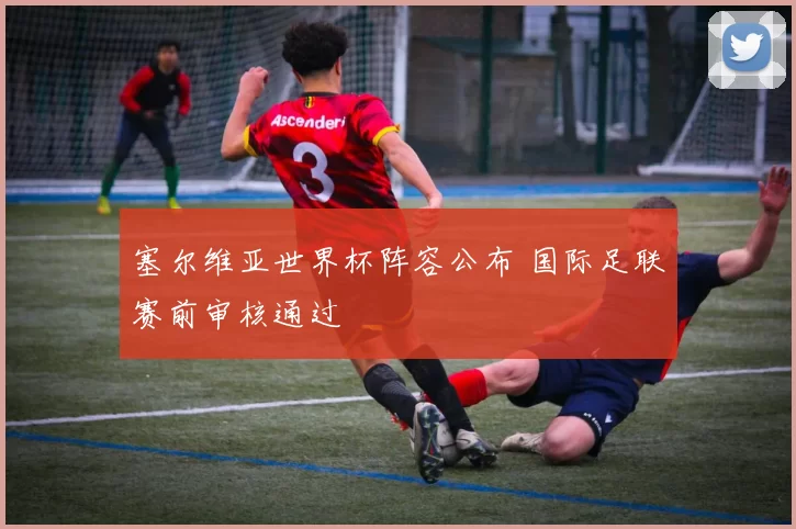 塞尔维亚世界杯阵容公布 国际足联赛前审核通过