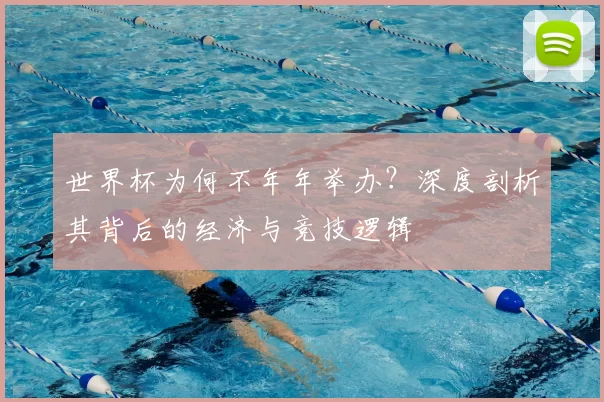 世界杯为何不年年举办?深度剖析其背后的经济与竞技逻辑
