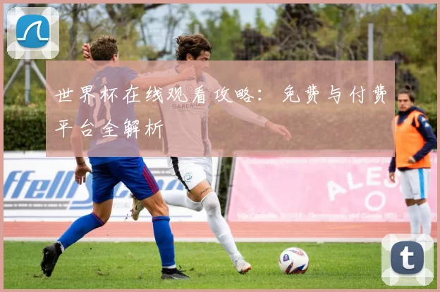 世界杯在线观看攻略:免费与付费平台全解析
