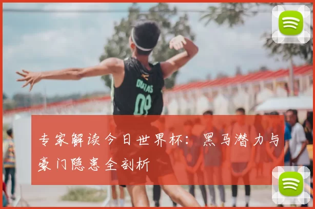 专家解读今日世界杯:黑马潜力与豪门隐患全剖析