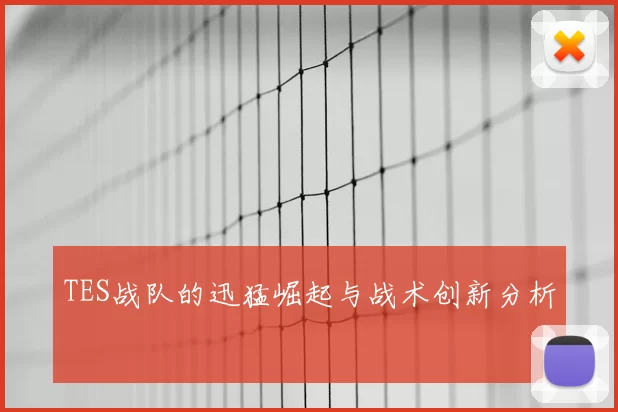 TES战队的迅猛崛起与战术创新分析